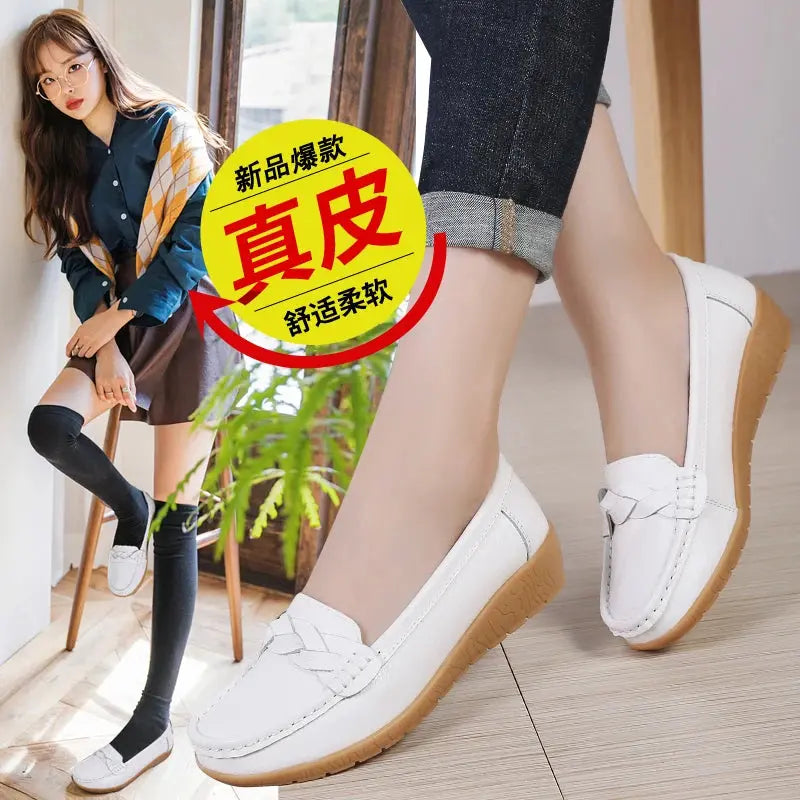 H08adda03f6464c4f95f6b7dde4e1fd62q