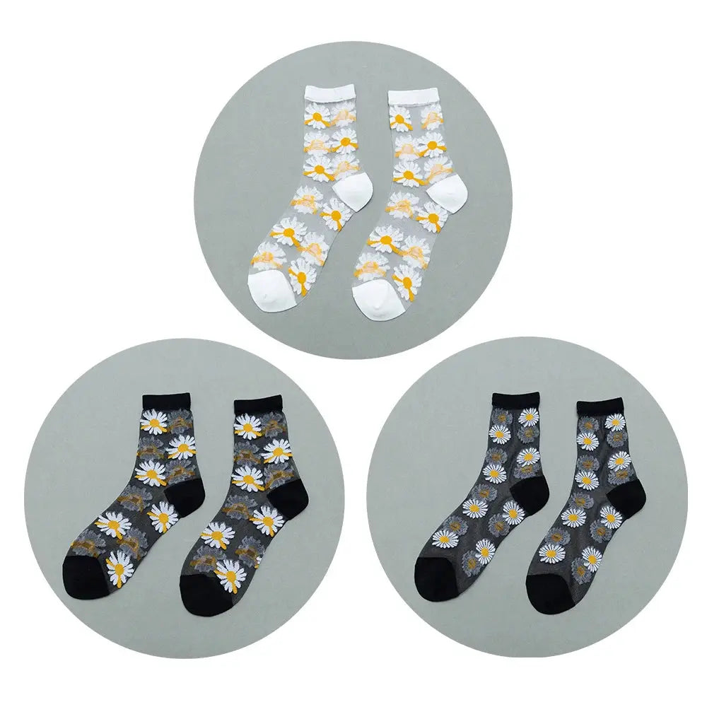 Hf0345d972f274fb181bad3062e8b1a14i