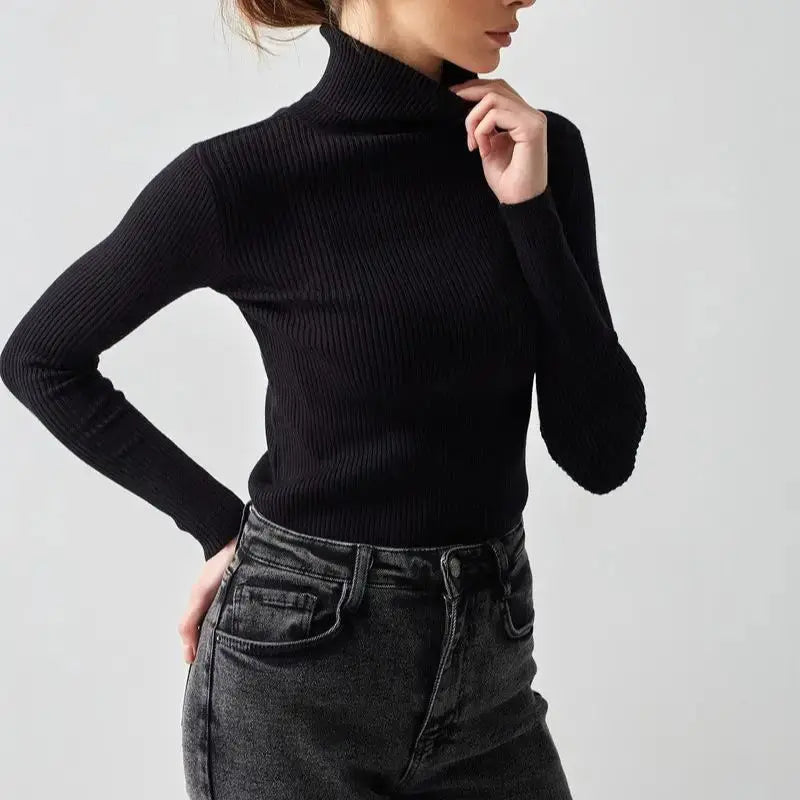 Autumn Turtleneck Knit Sweater for Women
