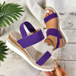 S203d795fa44642e4be05d367920dd486G