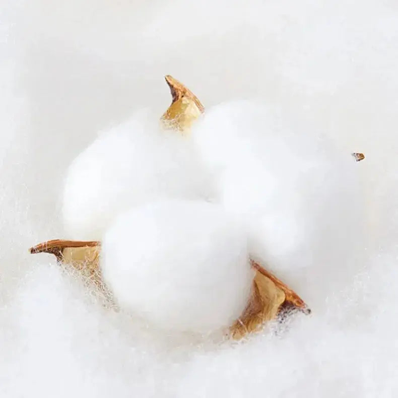 S243c03bc911b4702bf995bec8cd93ee5G