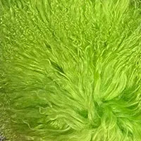 S4364b24539e848289d0625d97e929429y