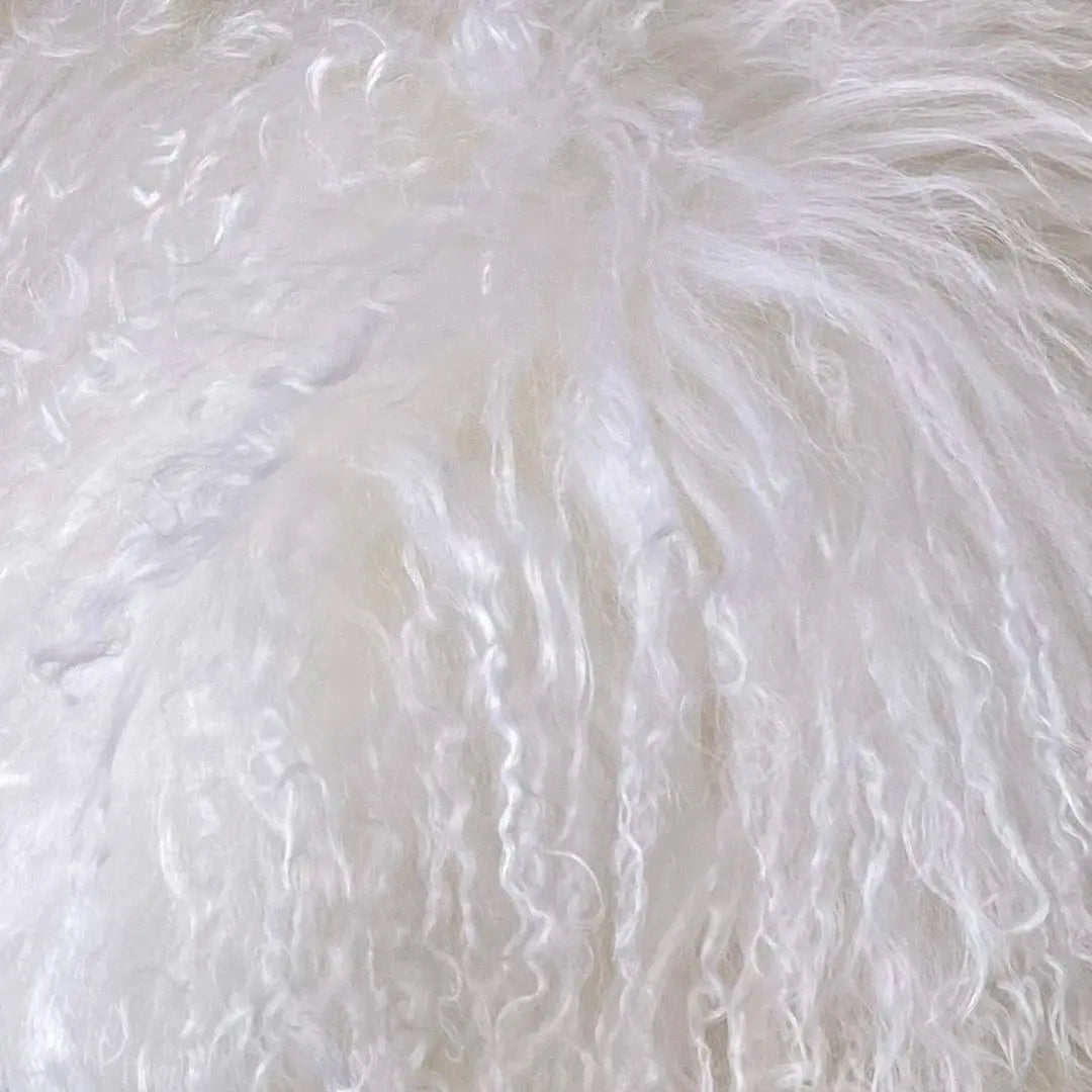 S5616189965114d34bc65cf05d1b7f9edT