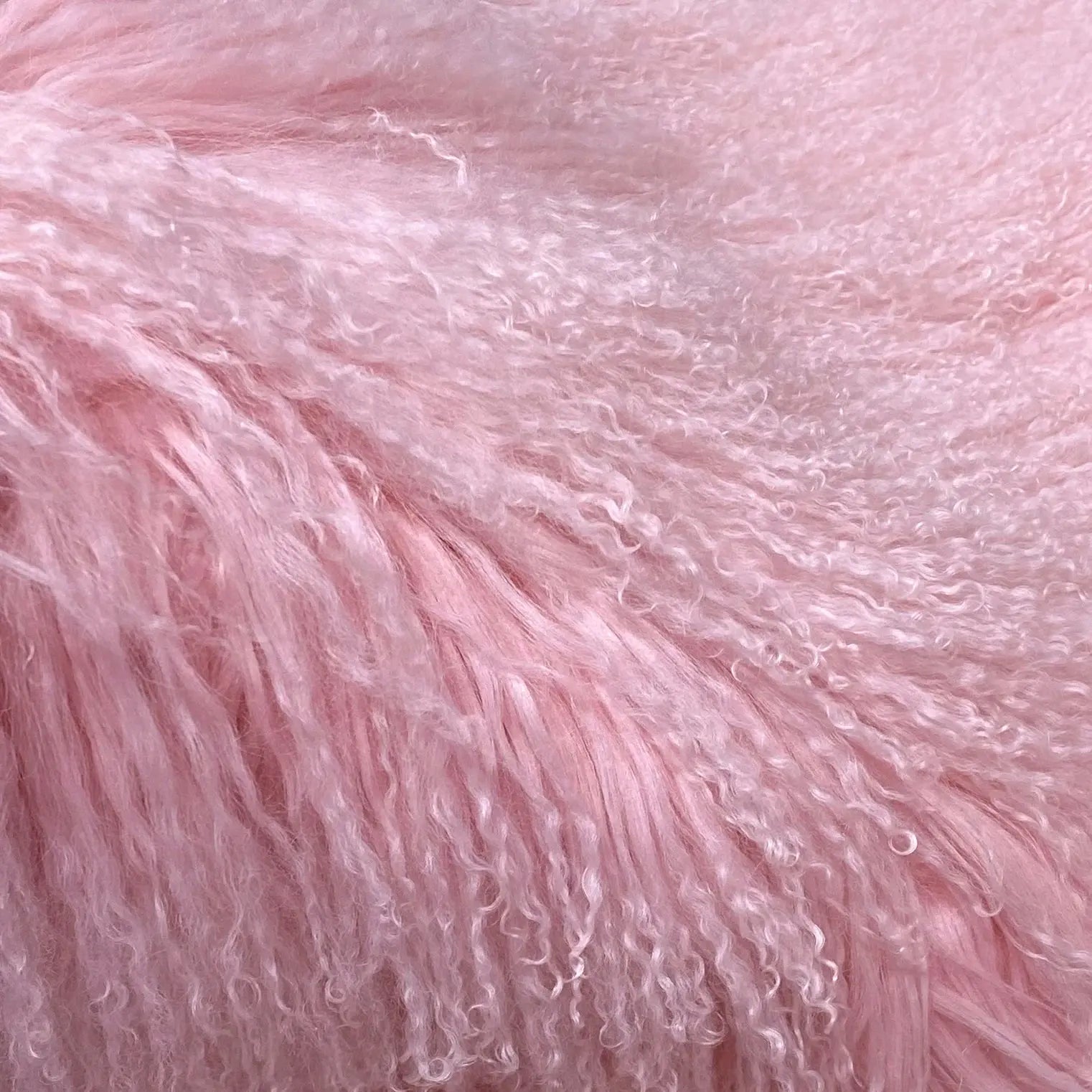 S6d067822858947369be138edc77c9af2X