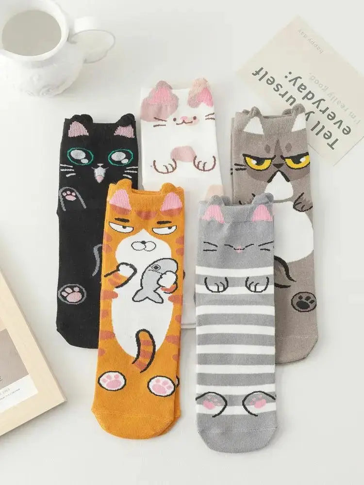 Sb75b5fc6d63849aa9c42627313bdaa44d