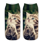 Sf7876d0886bc4e40b7b69dce132de6e5u