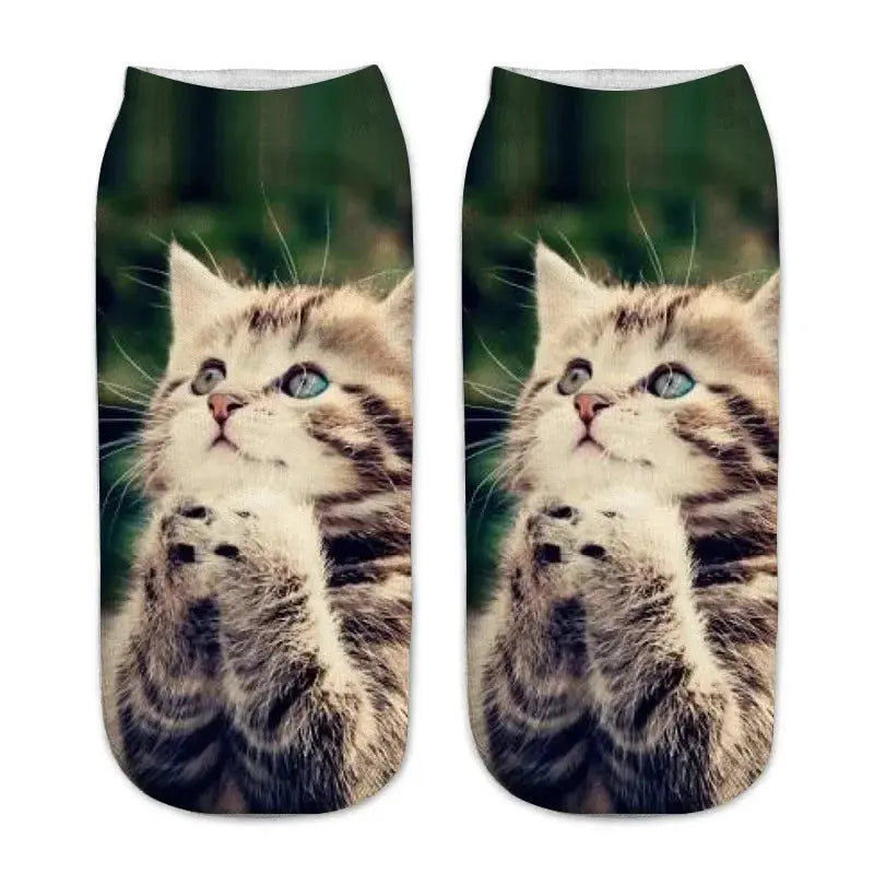 Sf7876d0886bc4e40b7b69dce132de6e5u